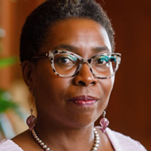 Vice President and Associate Provost for Diversity and Inclusion; Chief Diversity Officer; Ida B. Wells and Ferdinand Barnett Professor in Communication Studies